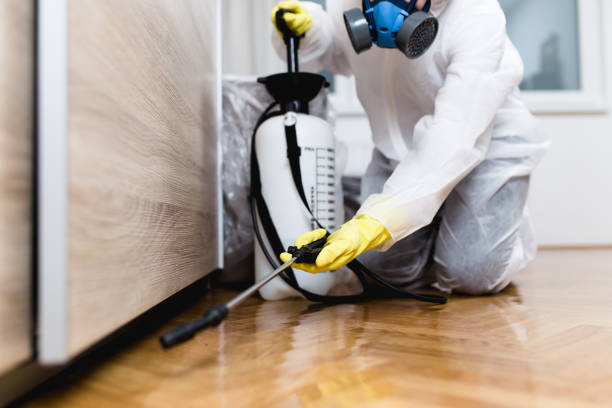 Best Emergency Pest Control  in Elwood, NY