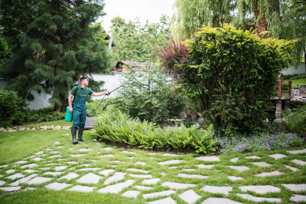 Best Mosquito Control Services  in Elwood, NY