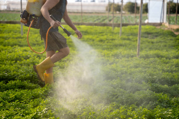 Best Pest Prevention Services  in Elwood, NY