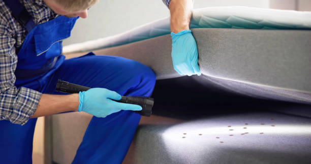 Best Pest Removal Services  in Elwood, NY