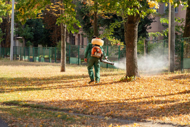 Best Termite Control Services  in Elwood, NY