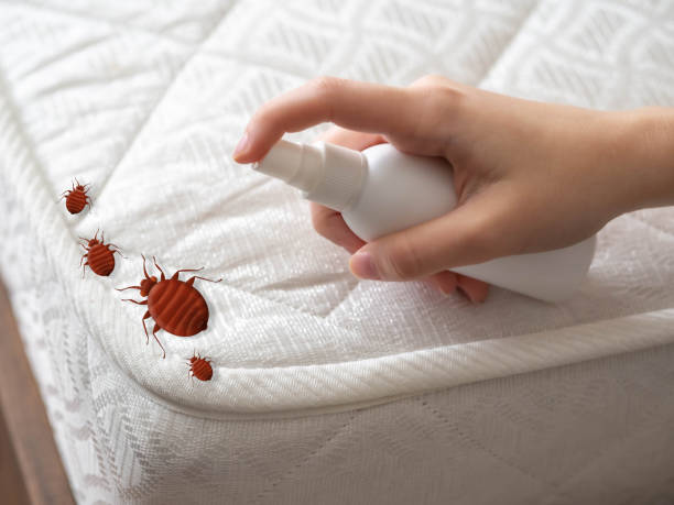 Pest Control Cost in Elwood, NY