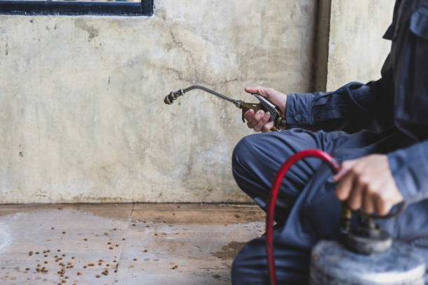 Best Mosquito Control Services  in Elwood, NY
